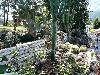 Turecko  Kemer - Tureck riviera Club Salima HV1
