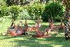 Turecko - Kemer - Tureck� riviera - Simena Sun Club *****