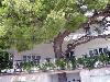 Chorv�tsko - Dalm�cia - Omi� - Apartm�nov� dom �eko ***