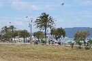 �panielsko - Bale�rske ostrovy - Malorka  - Sumba / Borneo ****