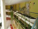 �panielsko - Kan�rske ostrovy - Fuerteventura - Sunrise Costa Calma Beach ****