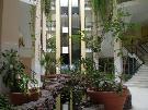�panielsko - Kan�rske ostrovy - Fuerteventura - Sunrise Costa Calma Beach ****
