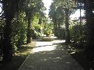 Taliansko - ostrov Sic�lia - Fiesta Garden Beach ****