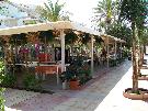 �panielsko - Bale�rske ostrovy - Ibiza - Hotel Club Bahamas Ibiza ***+
