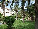 �panielsko - Bale�rske ostrovy - Ibiza - Hotel Club Bahamas Ibiza ***+