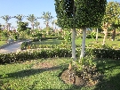 Egypt - Hurghada - Sunrise Le Jardin Resort ****