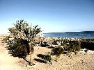 Egypt - Marsa Alam - Utopia Beach Club ***