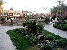 Egypt - Sharm El Sheikh - Prima Life Club ****+