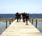 Egypt - Sharm El Sheikh - Prima Life Club ****+