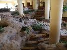 Egypt - Taba - Marriott Taba *****