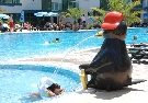 Bulharsko - Pr�morsko - Grand Hotel Primorsko ****