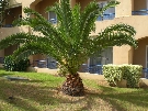 Tunisko - Mahdia - Nour Palace*****