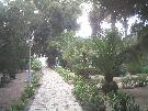 Tunisko - Sousse - Marhaba Salem ***