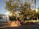 Tunisko - Sousse - Marhaba Salem ***
