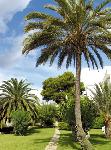 �panielsko - Bale�rske ostrovy - Malorka  - Samoa ***+