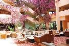 Turecko - Alanya / Avsallar / Konakli / Mahmutlar / Ocurcalar - Tureck� riviera - Justiniano Park Conti *****