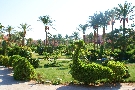 Egypt - Hurghada-Makadi Bay - Iberotel Makadi Saraya *****