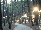 Taliansko - Kal�bria - Garden Resort ****