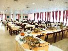 �ierna Hora - Tivat - Kamelija **