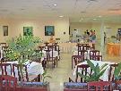 �ierna Hora - Tivat - Kamelija **