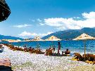 �ierna Hora - Tivat - Kamelija **