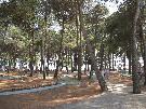 Chorv�tsko - Istria - Novigrad - LAGUNA ***