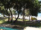 Chorv�tsko - Istria - Pore� - Valamar Club TAMARIS ****
