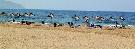 Gr�cko - Kr�ta - Apollo beach **+