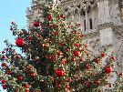 Franc�zko - pozn�vac� z�jazd - Silvester a Nov� rok v Par�i