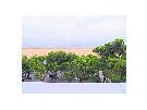 Taliansko - Severn� Jadran - Lignano  - Apartm�ny OCCIDENTE