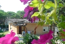 Taliansko - Severn� Jadran - Lignano  - Villa NELSON-NINOSKA