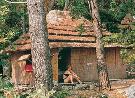 Chorv�tsko - Dalm�cia - Pako�tane - Bungalov TN club Pako�tane