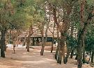 Chorv�tsko - Dalm�cia - Pako�tane - Bungalov TN club Pako�tane