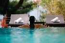 Chorv�tsko - Dalm�cia - Brela - Hotel Soline****+