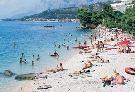 Chorv�tsko - Dalm�cia - Podgora - Apartm�n Mediteran/Caluna***