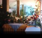 Taliansko - Severn� Jadran - Lido di Jesolo - Hotel Rosmary**