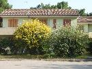 Taliansko - Severn� Jadran - Rosolina Mare - Apartm�n Martina