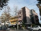 Taliansko - Stredn� Jadran - Rimini - Hotel Belair***