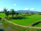 Thajsko - pozn�vac� z�jazd - Saigon, Angkor, Pattaya (Komfort)