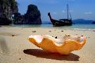Thajsko - pozn�vac� z�jazd - Bangkok, Koh Samui (Relax)