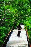 Thajsko - pozn�vac� z�jazd - Bangkok, Krabi (Relax)