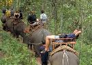 Thajsko - pozn�vac� z�jazd - Zadn� India: Thajsko, Malajzia, Singapur (Expedition)