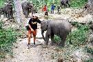 Thajsko - pozn�vac� z�jazd - Zadn� India: Thajsko, Malajzia, Singapur (Expedition)