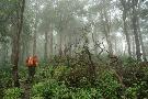 Thajsko - pozn�vac� z�jazd - Zadn� India: Thajsko, Malajzia, Singapur (Expedition)