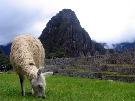 Chile - pozn�vac� z�jazd - Chile, Peru, Bol�via (Expedition)