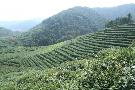 ��na - pozn�vac� z�jazd - Hongkong, Macao - ��na pre milovn�kov hist�rie (Komfort)
