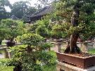 ��na - pozn�vac� z�jazd - Hongkong, Macao - ��na pre milovn�kov hist�rie (Komfort)