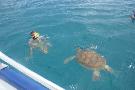 Barbados - pozn�vac� z�jazd - Barbados, New York (Relax)