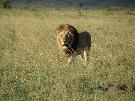 Ke�a - pozn�vac� z�jazd - Rwanda a Ke�a (Komfort)