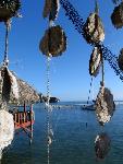Fr. Polyn�zia - pobytovo - pozn�vac� z�jazd - Nov� Z�land, Tahiti, Moorea (Relax)